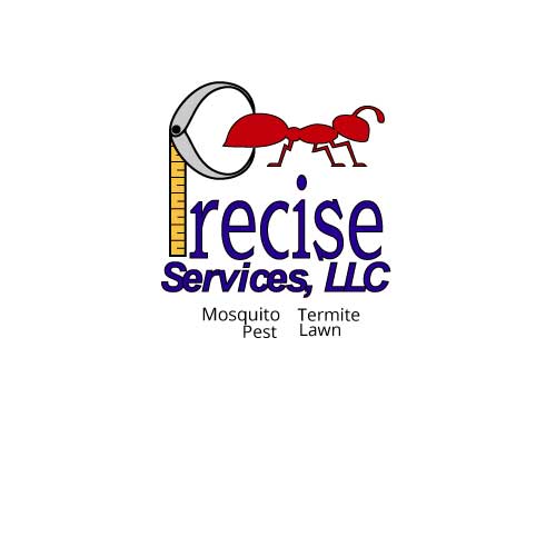 Precise Services LLC